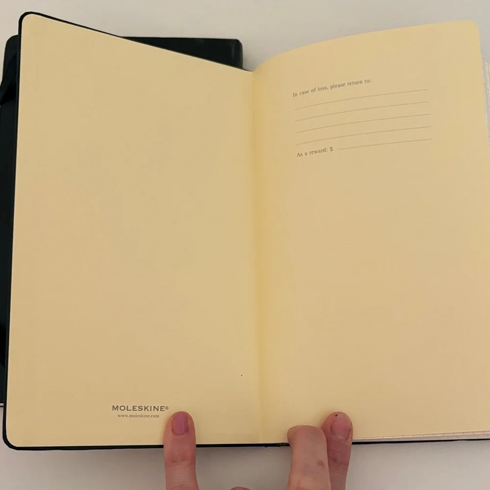 Set of 2 Moleskine Black Notebook‎ with Grid Pages